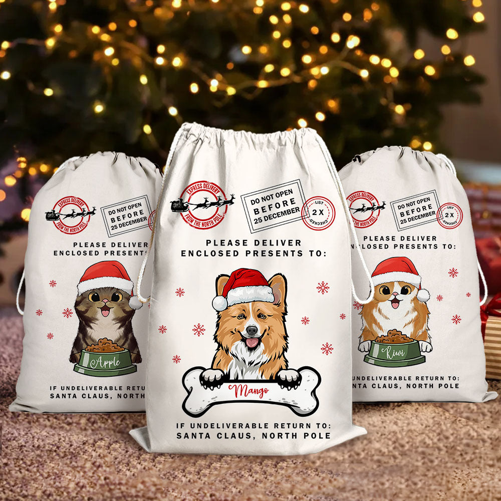 Custom Dog Cat Clipart Christmas Bag, Christmas Gift, Santa Sacks AB
