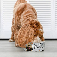 Thumbnail for Boho Chic Terrazzo Pet Ceramic Bowl, Dog Lover Gift Printway