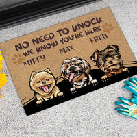 Thumbnail for No Need to Knock We Know You're Here Funny, Personalized Dog Doormat AB