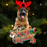 Thumbnail for Pet Upload Photo Christmas Custom Shape Acrylic Ornament, Gift for Cat, Dog Lovers AE